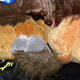 Illustration for article titled World Of Warcraft Plushies: On The Wings Of Cuteness